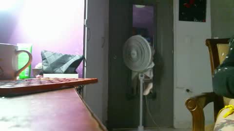 Snapshot of irisbell_ chatting on 12-22-24, 01:55 Camilla online show from 12-22-24, 01:55