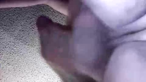 McDick online show from 03-30-26, 05:41