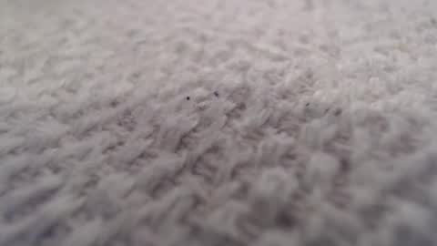 ironman383838 online show from 10-20-25, 09:59