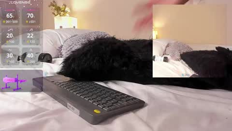 oIssaJonneso online show from 02-19-25, 04:44