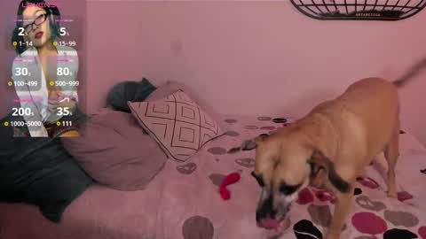 Isa online show from 01-04-25, 06:09