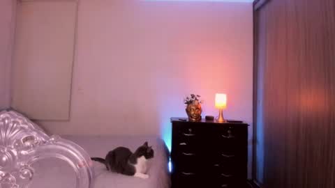 Snapshot of isabelprietoo chatting on 07-17-26, 01:23 Isa online show from 07-17-26, 01:23