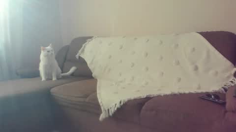 Issabelle online show from 10-30-25, 07:10