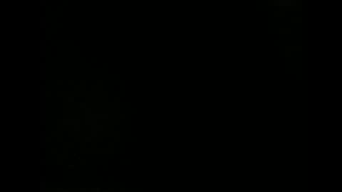 issazorro online show from 12-18-24, 09:29