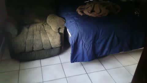 Snapshot of italjock24 chatting on 09-11-25, 12:16 BearlyLoganFL online show from 09-11-25, 12:16