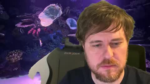 pain online show from 12-04-25, 12:53