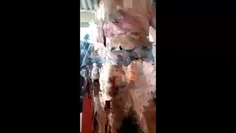 ivanaltrans62 online show from 01-11-26, 04:50