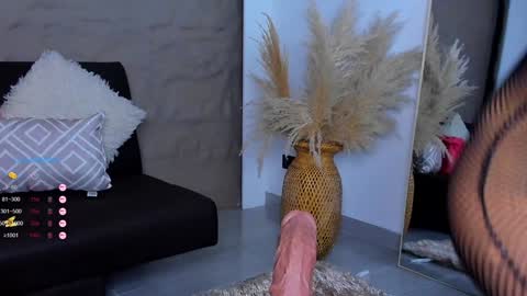 Snapshot of ivy_li chatting on 12-04-24, 06:33 Daniela online show from 12-04-24, 06:33