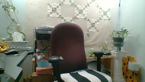 Snapshot of ivyjane3522 chatting on 06-17-26, 12:24 ivyjane3522 online show from 06-17-26, 12:24