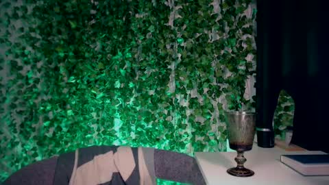 Miss Ivy online show from 12-28-24, 07:54