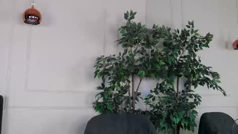 IvyLustt online show from 06-24-26, 04:44