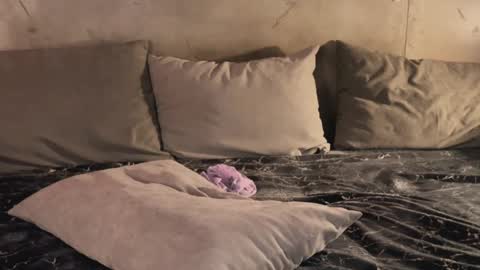 Snapshot of izi_fox chatting on 02-19-25, 09:47 izi online show from 02-19-25, 09:47