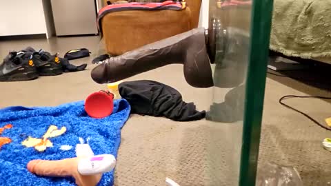 Snapshot of j220231 chatting on 12-04-25, 12:25 j220231 online show from 12-04-25, 12:25