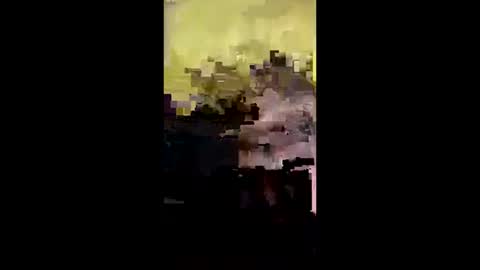 j557894 online show from 10-14-25, 05:08