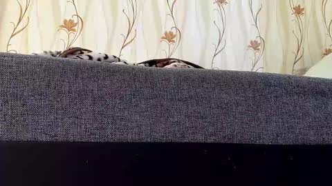 jaaaaanek2 online show from 04-21-26, 06:52