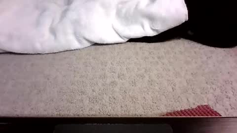 jack_wonder912 online show from 09-13-25, 04:12