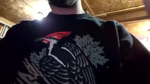 Snapshot of jackboys16 chatting on 01-05-25, 02:49 Dess online show from 01-05-25, 02:49