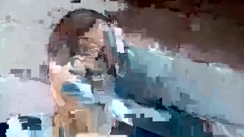 jackie petit online show from 12-02-24, 01:24