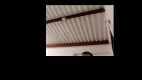 jacob_smith10 online show from 09-22-25, 06:15