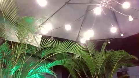 jacobdraven online show from 12-05-25, 03:26