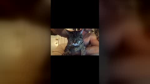 Snapshot of jacobmotes chatting on 12-17-25, 10:49 Jacob online show from 12-17-25, 10:49