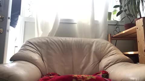 Snapshot of jacobmotes chatting on 02-14-26, 04:59 Jacob online show from 02-14-26, 04:59