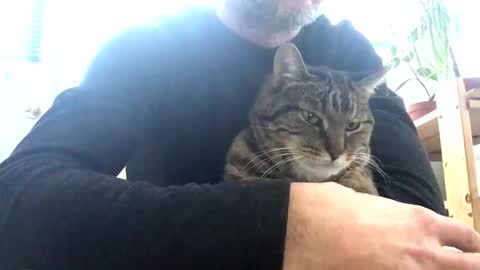 Snapshot of jacobmotes chatting on 02-15-26, 01:20 Jacob online show from 02-15-26, 01:20