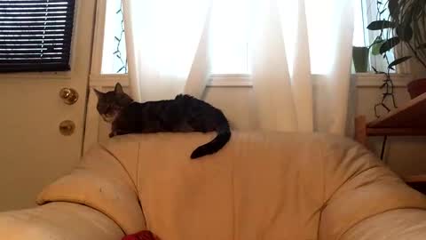 Snapshot of jacobmotes chatting on 02-17-26, 09:54 Jacob online show from 02-17-26, 09:54