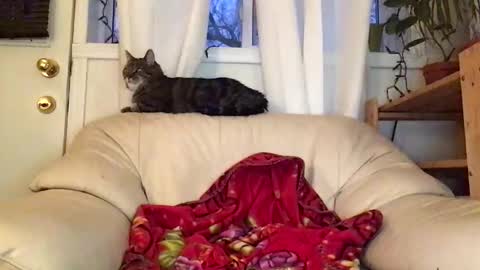 Snapshot of jacobmotes chatting on 02-22-26, 10:52 Jacob online show from 02-22-26, 10:52