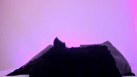 Mady online show from 12-20-24, 01:14