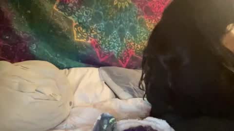 Jadexbabe online show from 01-27-25, 11:54