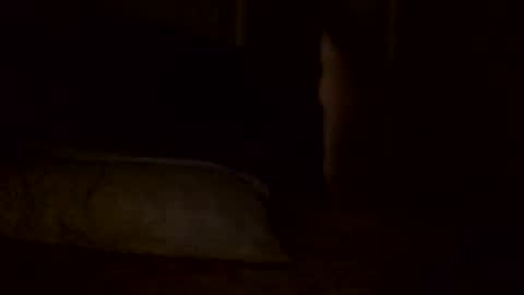 Jamacian online show from 02-02-25, 05:59