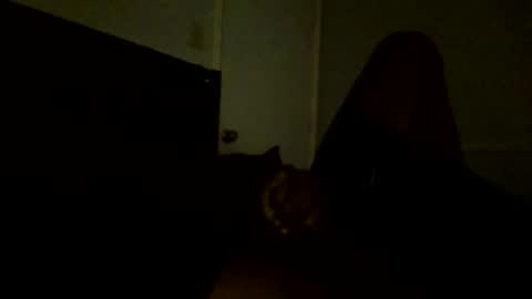 Jamacian online show from 02-25-25, 11:11