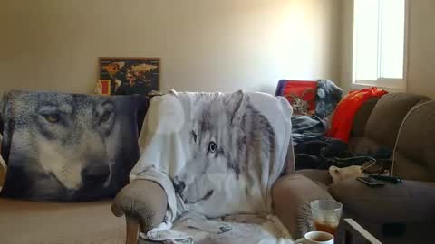 Snapshot of jameswolf777 chatting on 12-22-25, 08:06 jameswolf777 online show from 12-22-25, 08:06