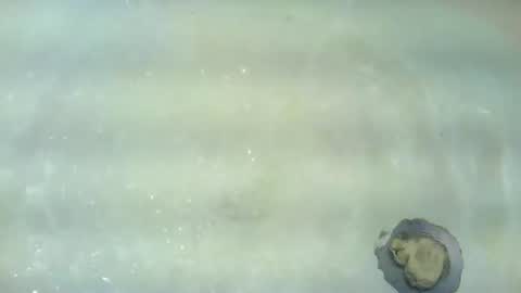 Snapshot of jamwarnerone chatting on 07-08-26, 01:10 Bootyshows online show from 07-08-26, 01:10
