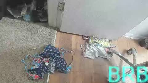 Snapshot of jamwarnerone chatting on 08-02-26, 03:54 Bootyshows online show from 08-02-26, 03:54