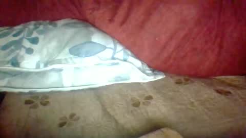 Snapshot of janneparker chatting on 11-25-25, 02:39 Janne online show from 11-25-25, 02:39