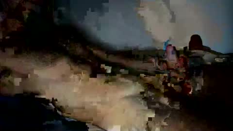 jardinflowers online show from 11-28-25, 05:21