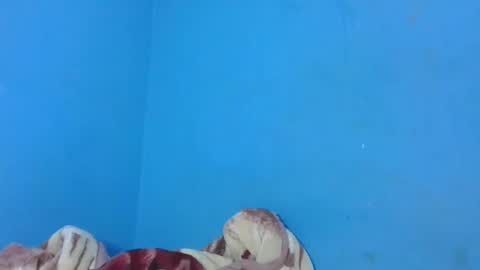 JarevavaX online show from 01-25-25, 02:58