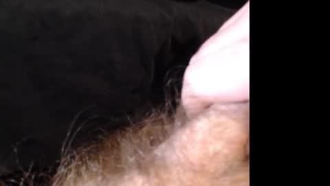 Jason online show from 12-14-24, 02:53