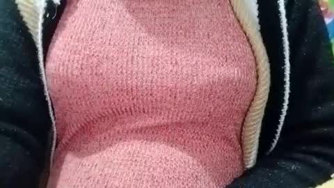 Snapshot of jasspreettt chatting on 01-04-25, 05:48 jasspreettt online show from 01-04-25, 05:48