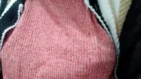 Snapshot of jasspreettt chatting on 02-01-25, 01:55 jasspreettt online show from 02-01-25, 01:55