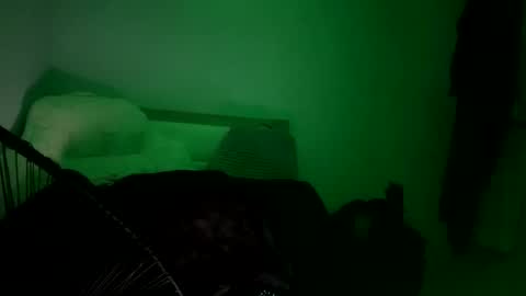 Snapshot of javiricorich chatting on 11-01-25, 12:45 javiSdick online show from 11-01-25, 12:45