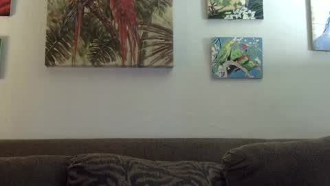 Snapshot of jay_jay1475 chatting on 01-21-25, 09:25 jay-jay1475 online show from 01-21-25, 09:25