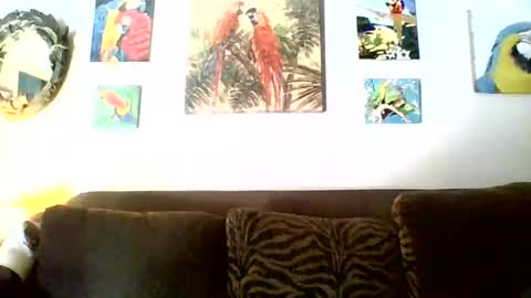 Snapshot of jay_jay1475 chatting on 11-17-25, 06:46 jay-jay1475 online show from 11-17-25, 06:46