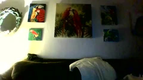 Snapshot of jay_jay1475 chatting on 01-31-26, 10:08 jay-jay1475 online show from 01-31-26, 10:08