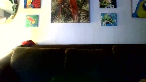 Snapshot of jay_jay1475 chatting on 02-11-26, 09:42 jay-jay1475 online show from 02-11-26, 09:42