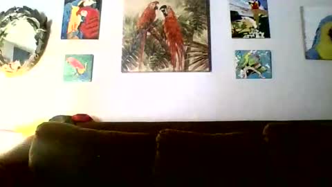 Snapshot of jay_jay1475 chatting on 02-18-26, 06:15 jay-jay1475 online show from 02-18-26, 06:15