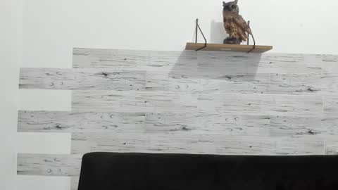 Jaycreedd online show from 01-15-25, 02:38