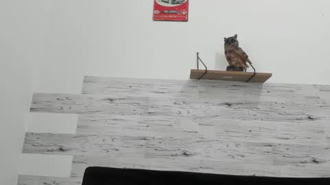 Jaycreedd online show from 02-18-25, 06:47